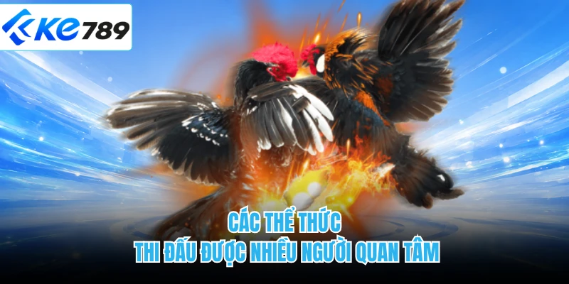Các thể thức thi đấu được nhiều người quan tâm 